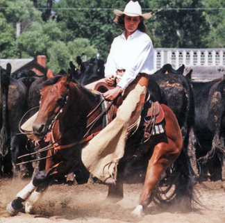 1994 Bay Mare by Doc O Dynamite, shown here with Laurie Redfield