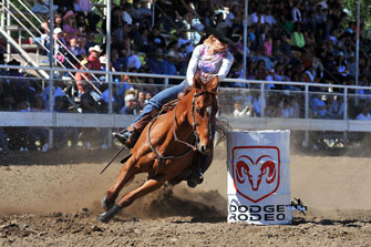 7 year old RED TB gelding out of Holland Ease Mare