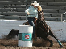 2003 TQHA Futurity